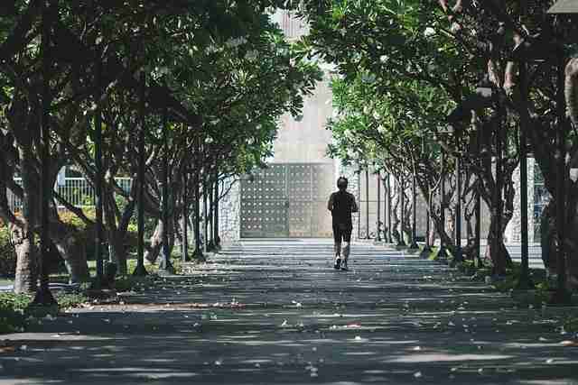 年度报告·新91视频:全面解读界面设计亮点背后隐藏的秘密